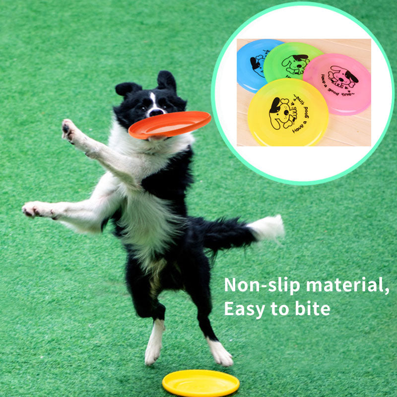 Fournitures pour animaux de compagnie, jouets interactifs d'extérieur pour chiens