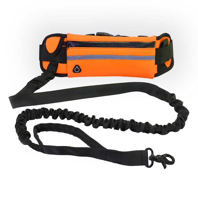 Laisse mains libres pour chien, ceinture de marche et d'entraînement pour animaux de compagnie, avec laisse élastique absorbant les chocs, pour grands chiens jusqu'à 180 lb, poche pour téléphone et porte-bouteille d'eau