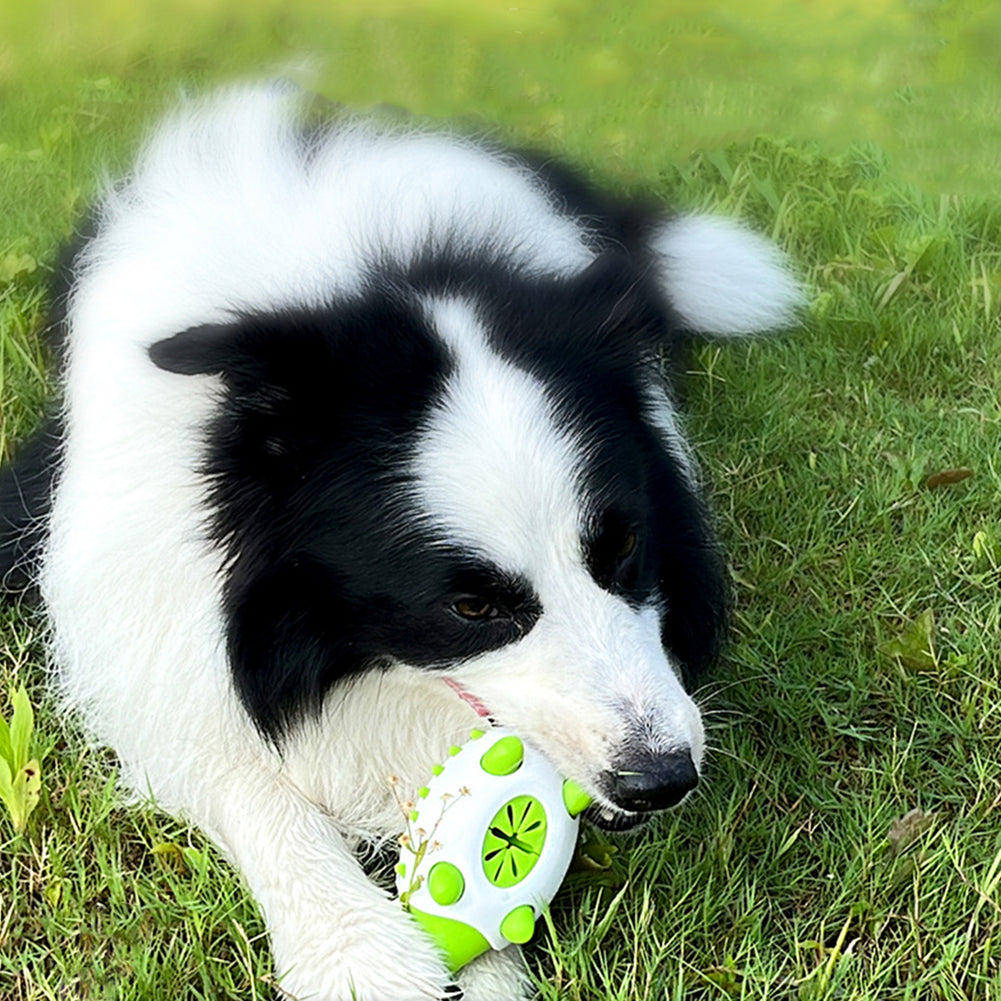 Jouet interactif TPR pour chien, jouets alimentaires à fuite pour petits et grands chiens, jouets à mâcher pour chat, nettoyage des dents d'animaux, jouets indestructibles pour chiots