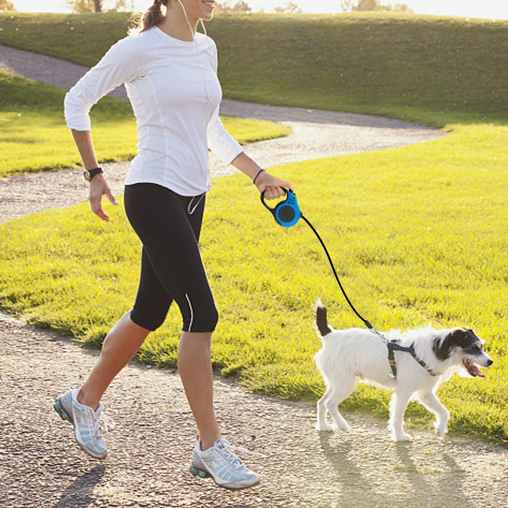 Laisse rétractable automatique pour chien, collier pour animaux de compagnie, plomb de marche automatique, laisse libre