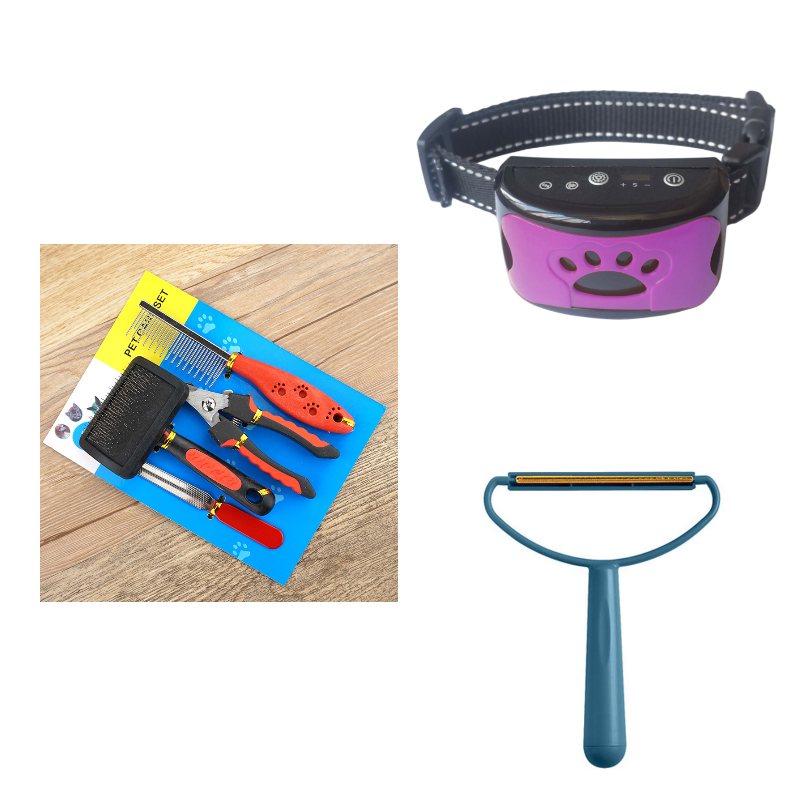 Collier d'entraînement pour chien, étanche, électrique, télécommande pour animaux de compagnie, Rechargeable, anti-aboiement, avec son de Vibration et de choc