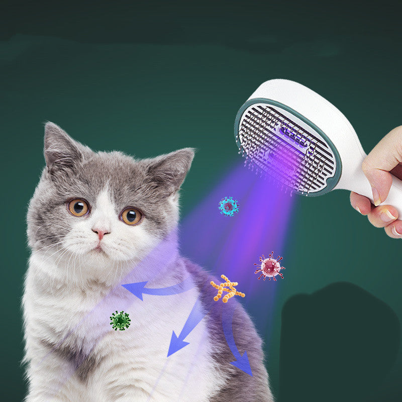 Brosse à cheveux pour chat, stérilisation, nettoyant, fournitures pour animaux de compagnie, chiens