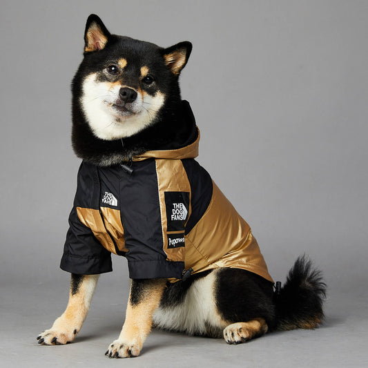 Veste imperméable pour chien de grande taille