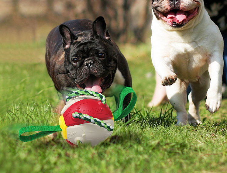 Ballon de Football interactif pour chien, avec onglets, jouet d'entraînement gonflé, balles de Collie à bordure extérieure, produits pour animaux de compagnie