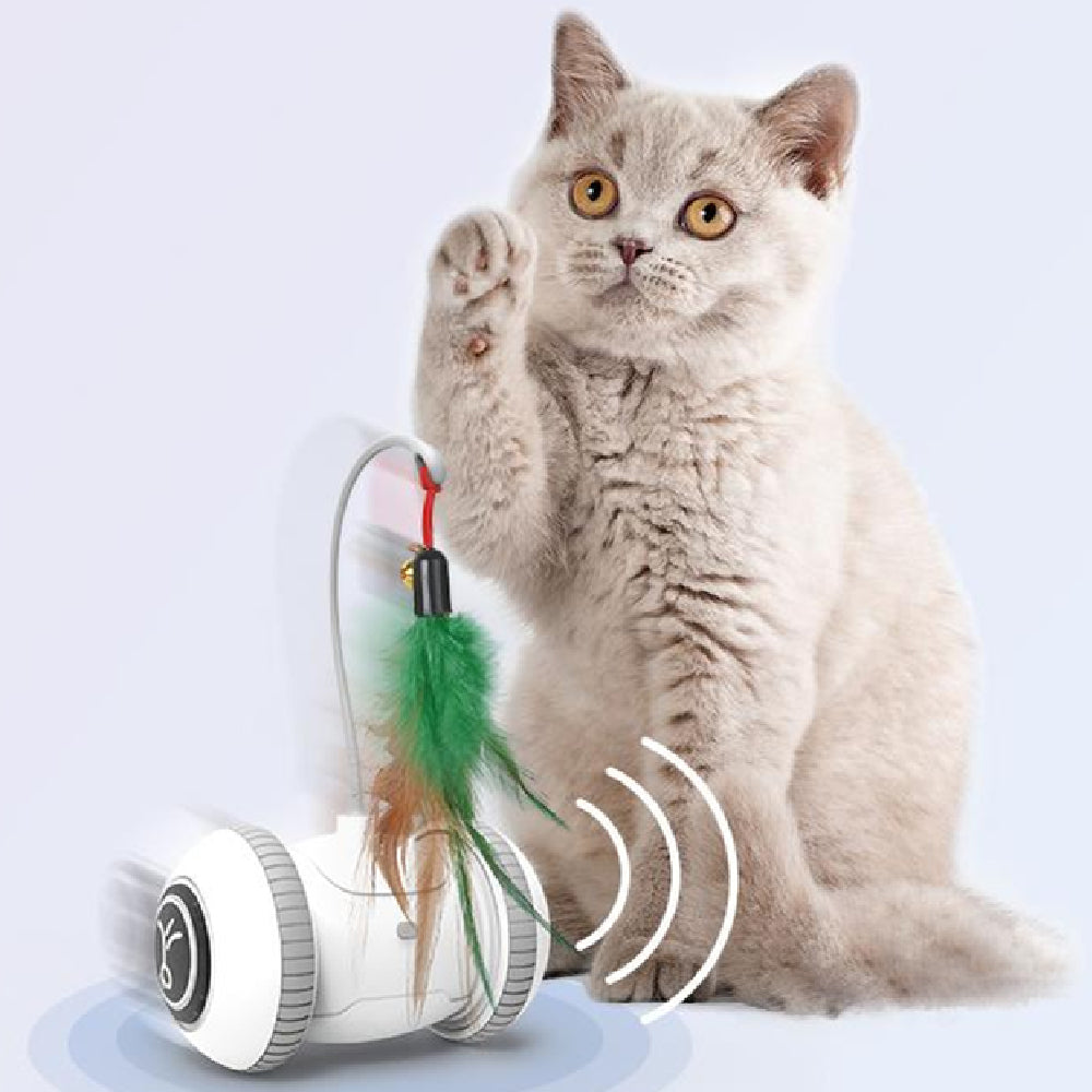 Jouet interactif pour chat avec têtes interchangeables, jouets en plumes pour animaux de compagnie